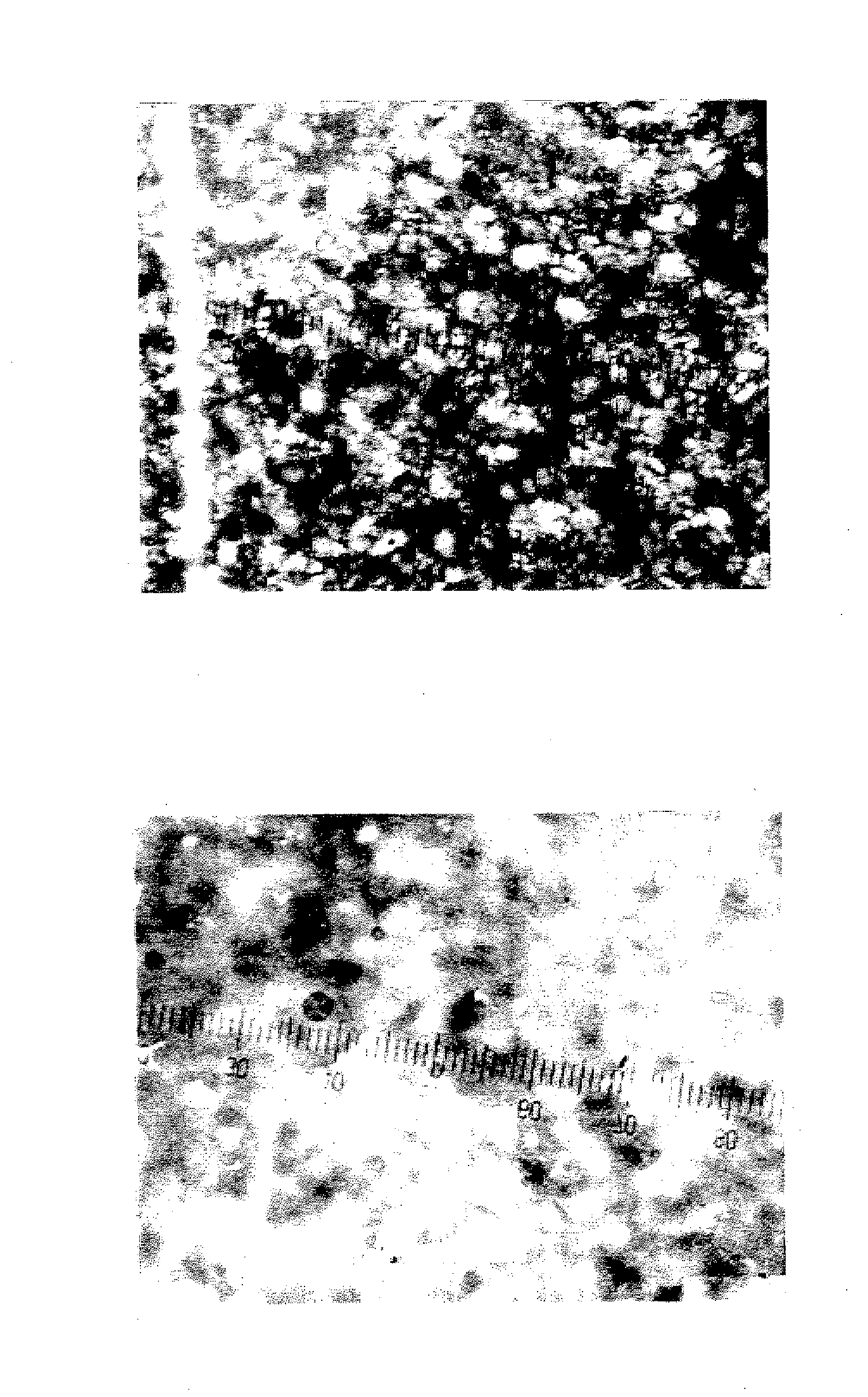 Method of providing stability for liquid cleansing compositions comprising broad selection fatty acyl isethionate surfactants