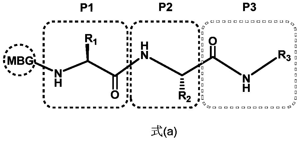 Spiro three-membered ring, spiro five-membered ring peptidyl deformylase inhibitor