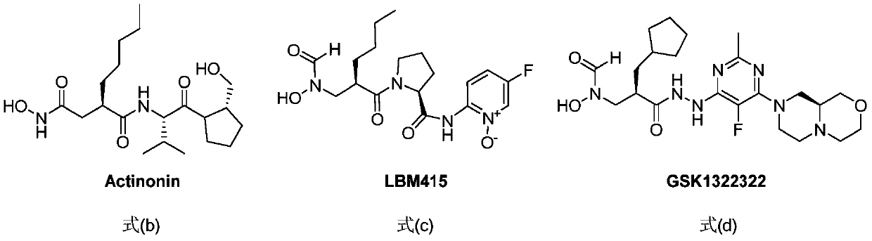 Spiro three-membered ring, spiro five-membered ring peptidyl deformylase inhibitor