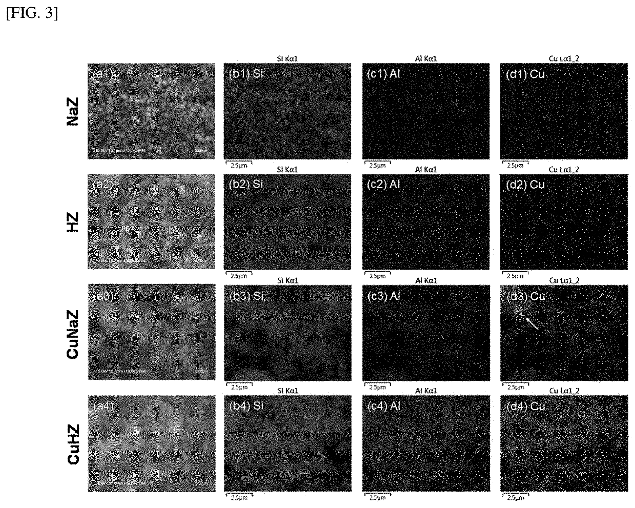 Hydrocarbon adsorption and desorption complex comprising zeolite with controlled cation and preparation method therefor