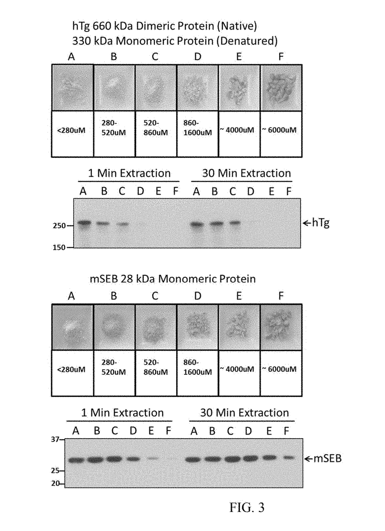 Enzymes Manufactured in Transgenic Soybean for Plant Biomass Engineering and Organopollutant Bioremediation