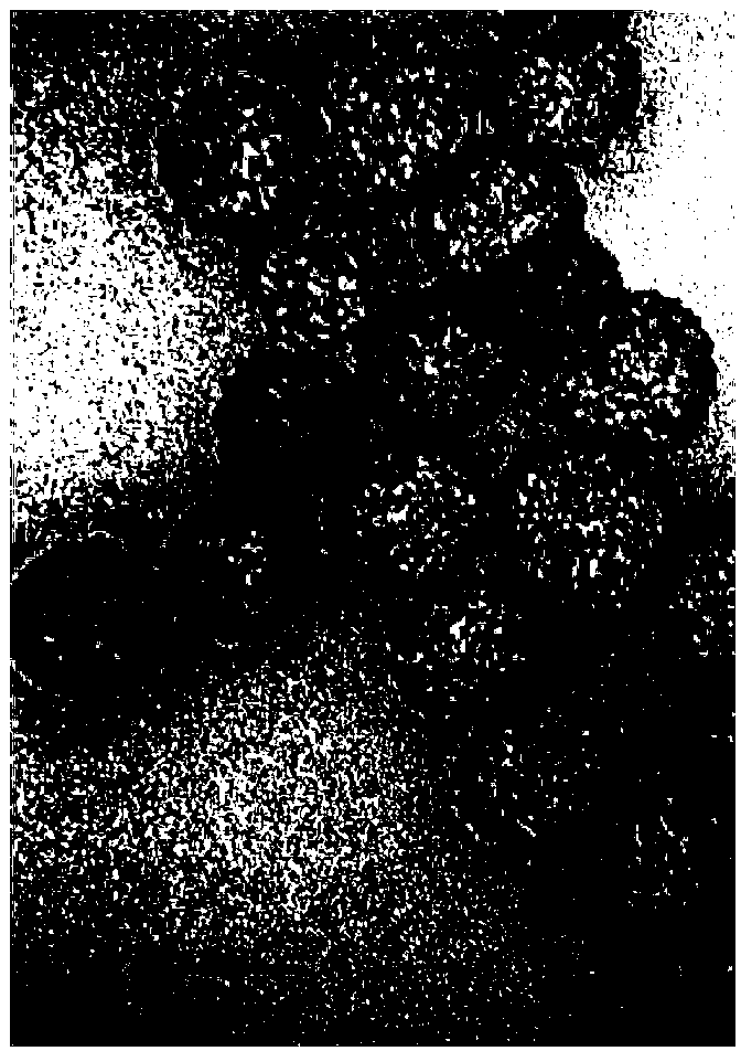 Organic modified hydrophobic nano silica hollow ball and preparation method thereof