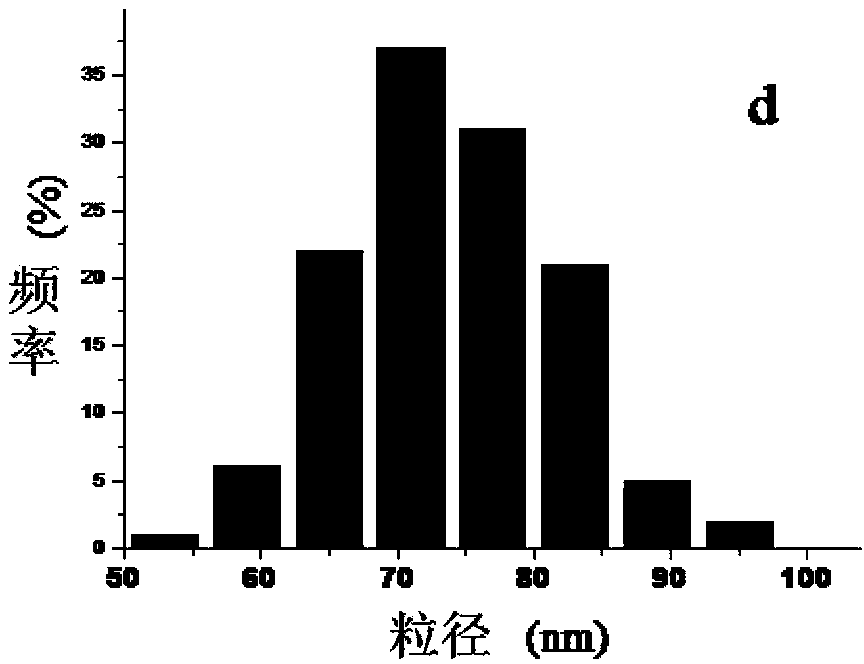 Organic modified hydrophobic nano silica hollow ball and preparation method thereof