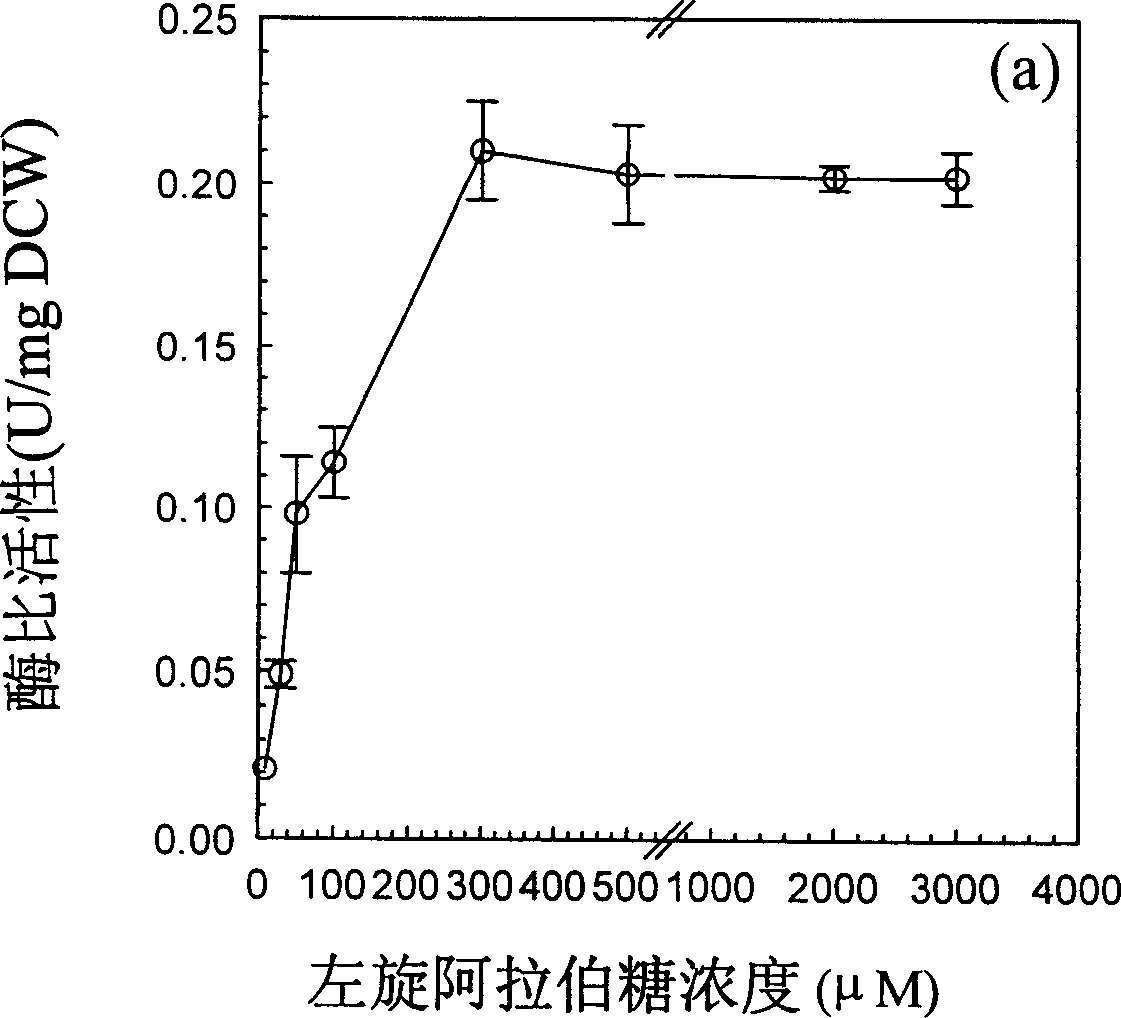 Controlling method for expression system of T7 induced by laevorotary arabinose