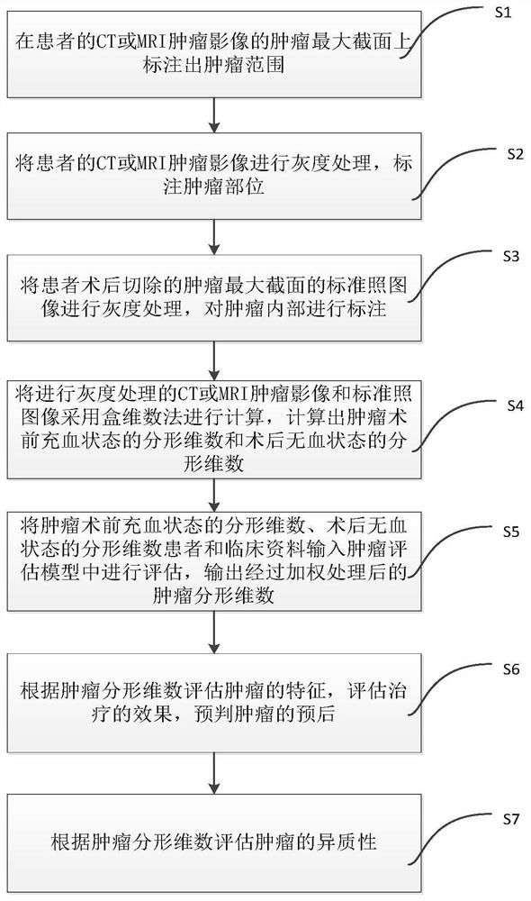 Fractal-theory-based tumor heterogeneity analysis method and system, terminal and medium