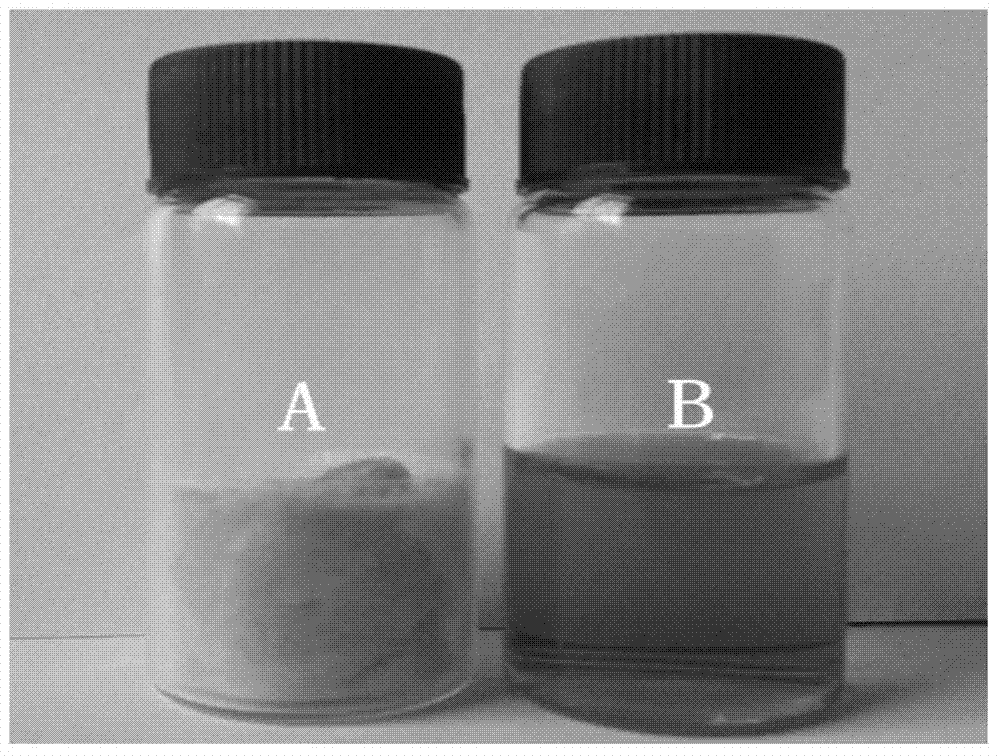 Curcumin micellar drug carrying system and preparation method thereof