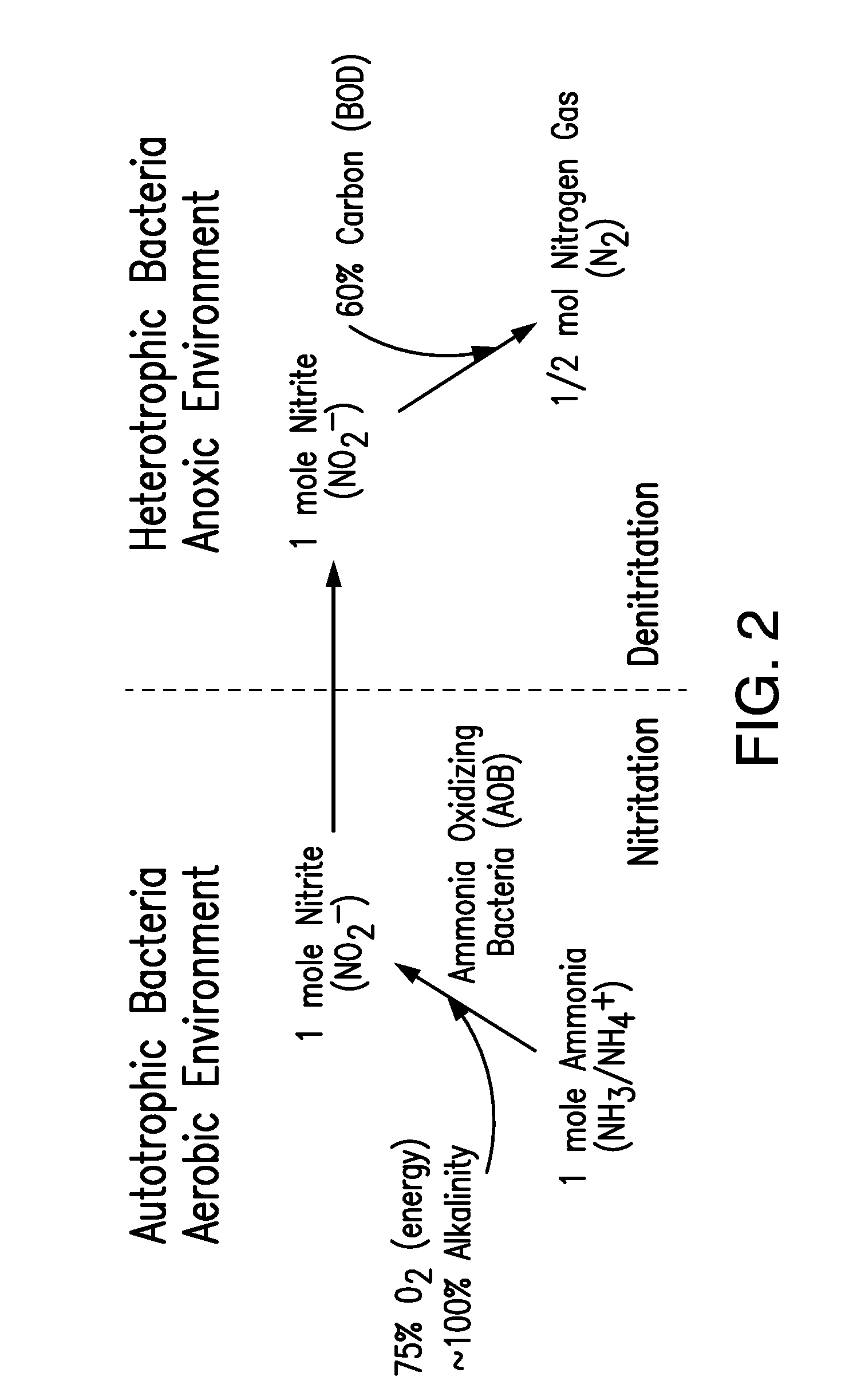 Method and apparatus for maximizing nitrogen removal from wastewater