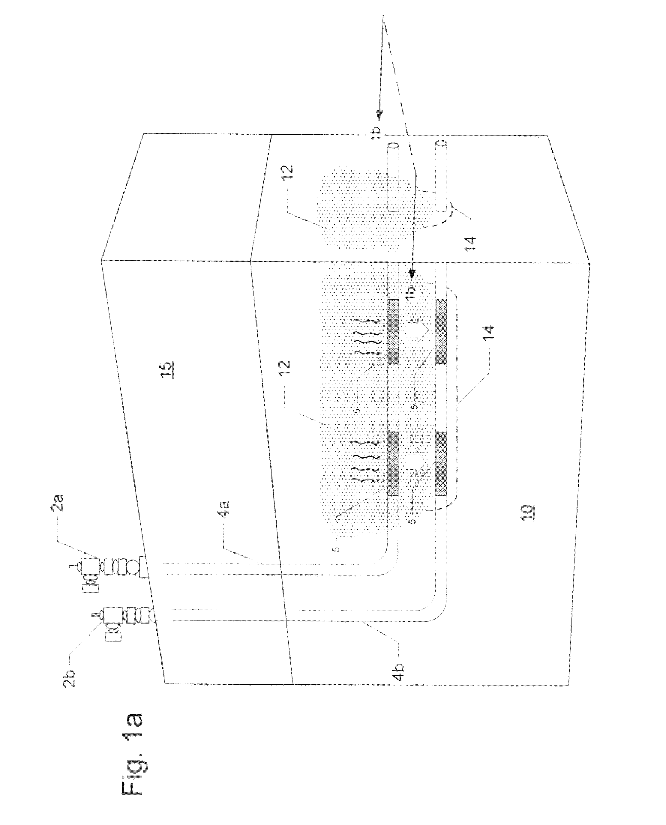 Interface point method modeling of the steam-assisted gravity drainage production of oil