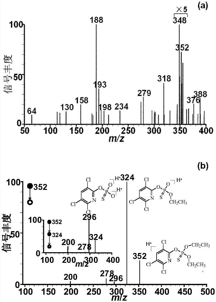 Rapid detection of chlorpyrifos in honey by neutral desorption-electrospray extraction ionization mass spectrometry