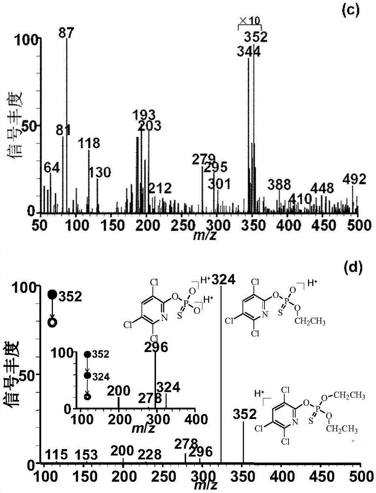 Rapid detection of chlorpyrifos in honey by neutral desorption-electrospray extraction ionization mass spectrometry