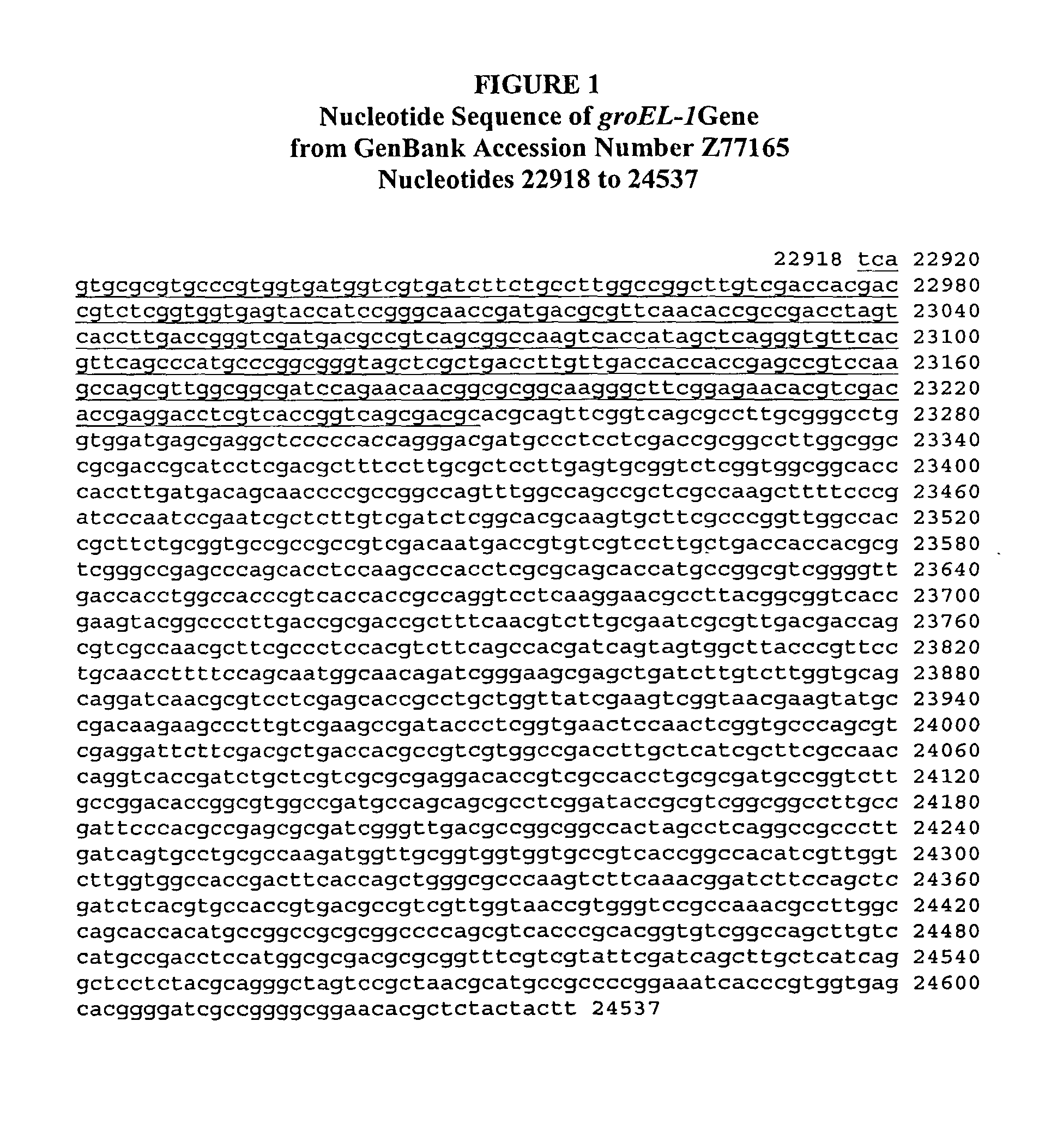 Compositions and methods for detecting pathogenic bacteria expressing chaperonin proteins