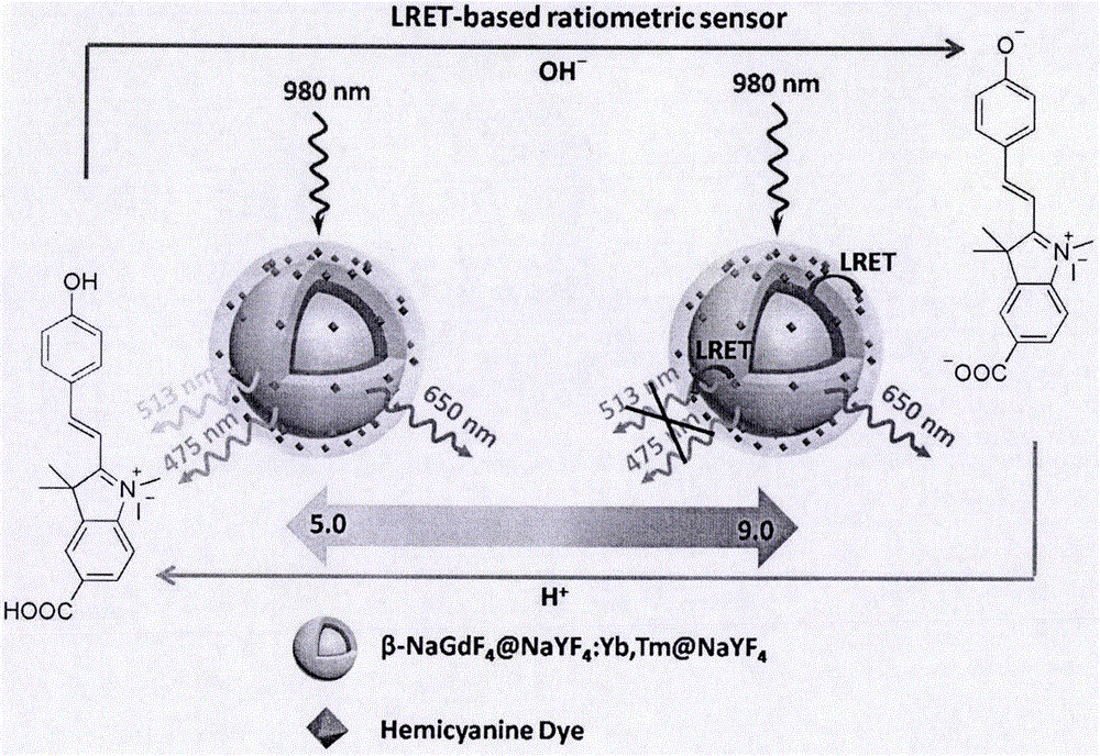 Compound for preparing near-infrared rate light-emitting upconversion nanomaterial as well as preparation method and application of compound