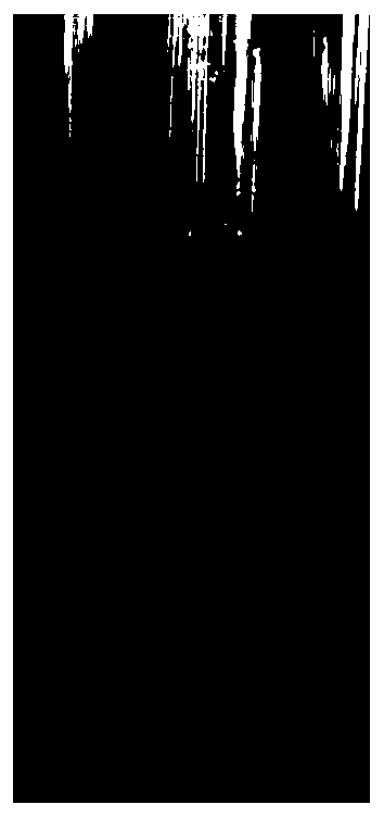 Biocontrol streptomycete