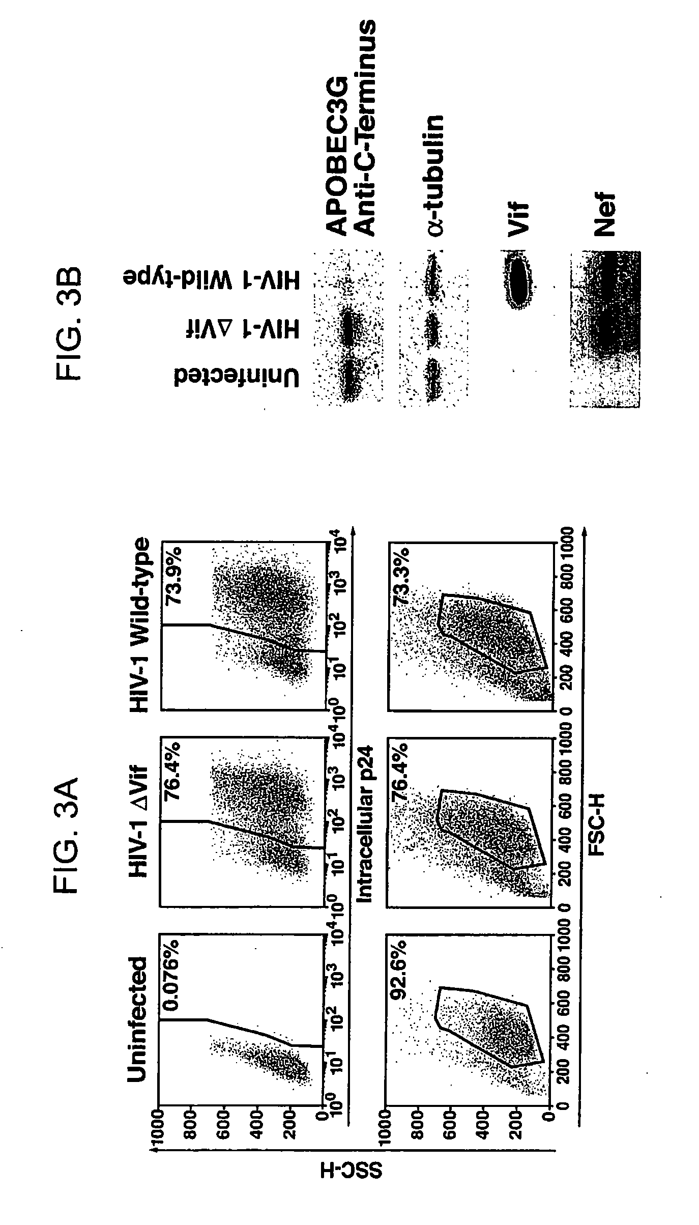 Methods for treating lentivirus infections