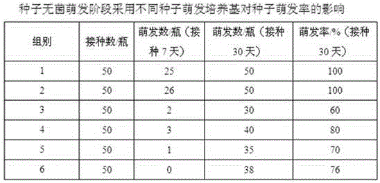 Efficient tissue culture and rapid propagation technology for seedlings of bletilla striata