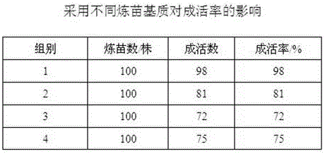 Efficient tissue culture and rapid propagation technology for seedlings of bletilla striata