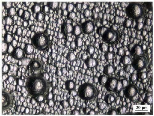 Method for rapid electrolytic-deposition of coating on surface of magnesium alloy