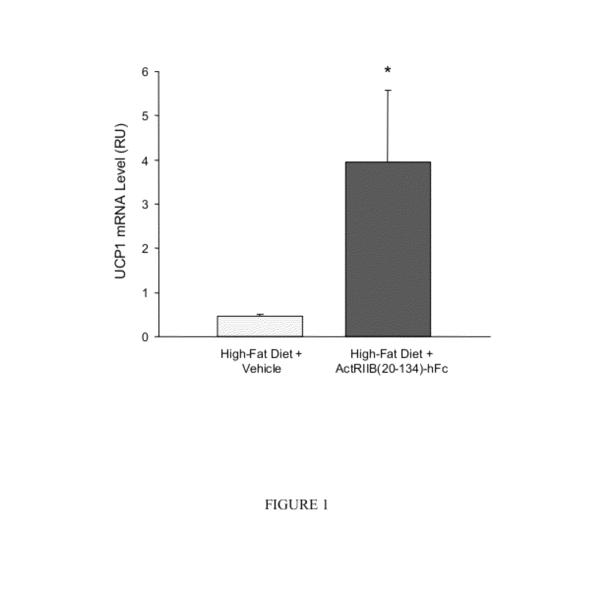 Methods for increasing thermogenic adipocytes