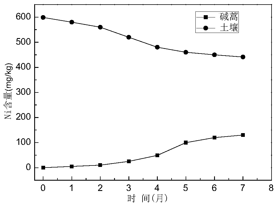 A kind of removal method of heavy metal ni and/or cd in sandy soil