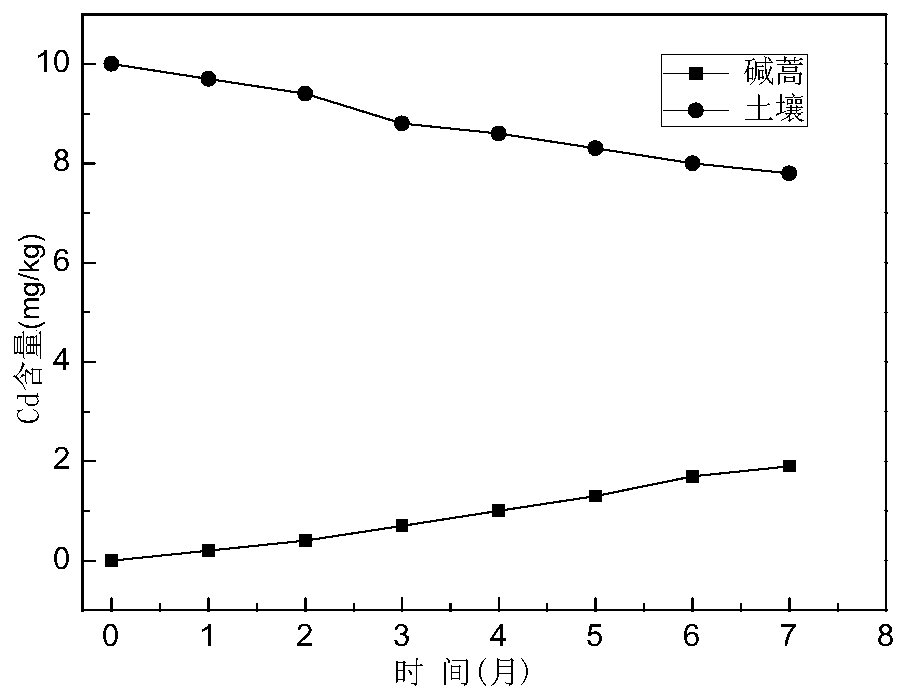 A kind of removal method of heavy metal ni and/or cd in sandy soil