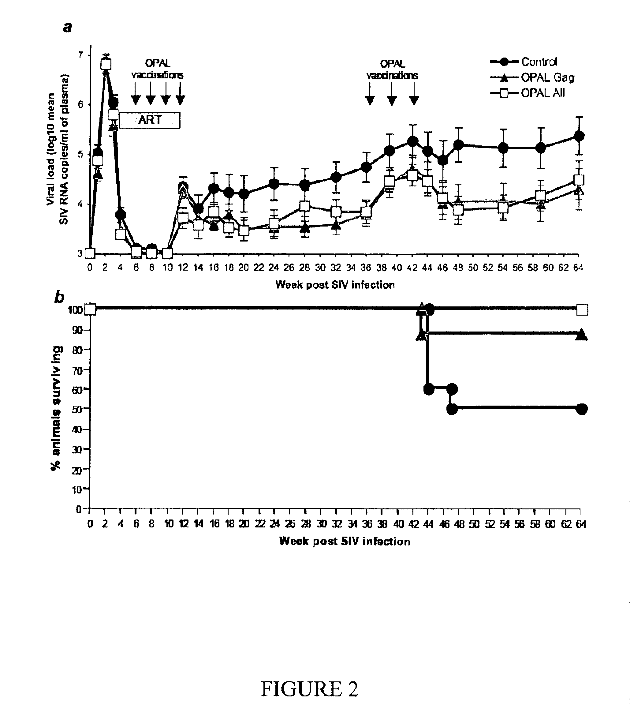 Immunomodulating compositions and uses therefor