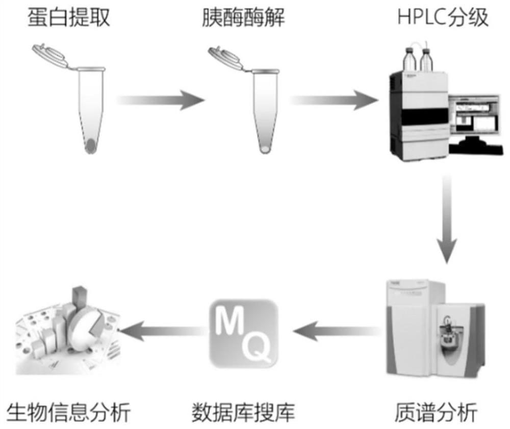 Plasma exosome protein marker for early screening of nasopharynx cancer and application of plasma exosome protein marker