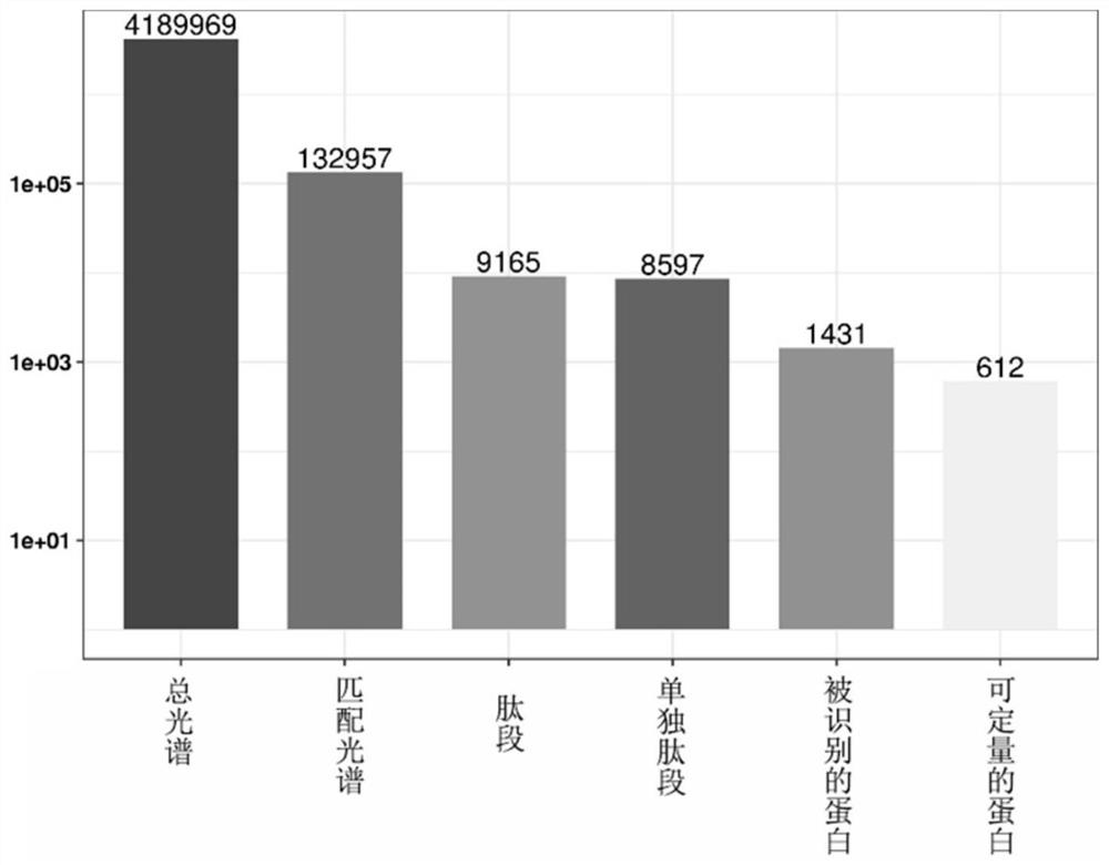 Plasma exosome protein marker for early screening of nasopharynx cancer and application of plasma exosome protein marker