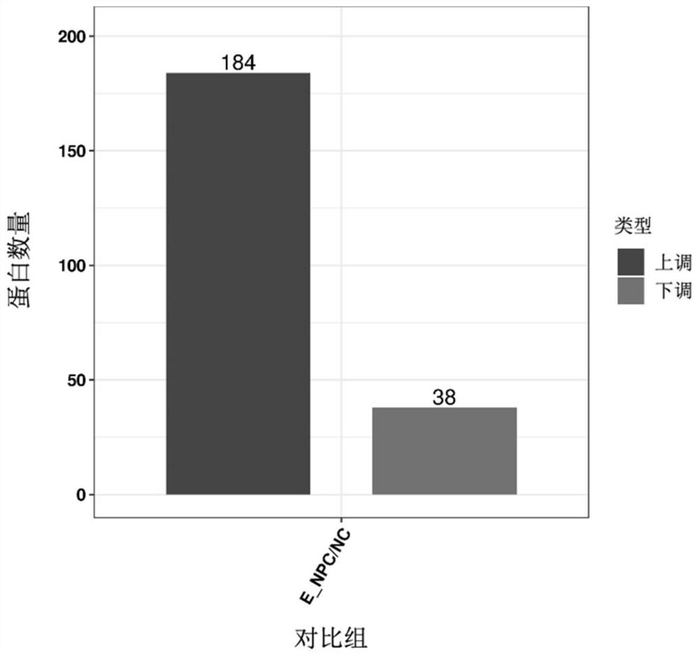 Plasma exosome protein marker for early screening of nasopharynx cancer and application of plasma exosome protein marker