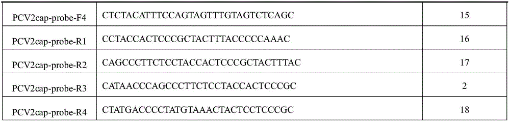 Reagent and detection method for detecting porcine circovirus type 2 and application