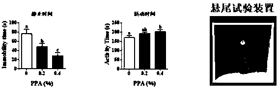 Application of phenylpyruvic acid in preparation of products for relieving or improving anxiety and depression behaviors