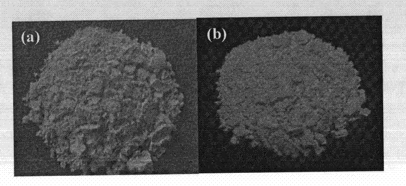 Preparation method of CaMoO4: Eu3+, Li+ red phosphor