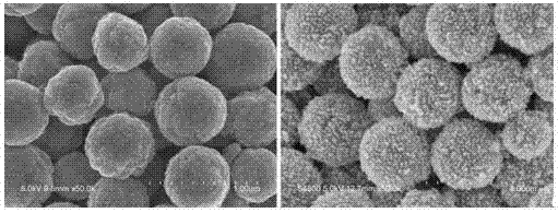 Nanometer structure electrochemical cell sensor preparation method, produced nanometer structure electrochemical cell sensor and use thereof