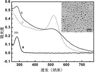 Nanometer structure electrochemical cell sensor preparation method, produced nanometer structure electrochemical cell sensor and use thereof