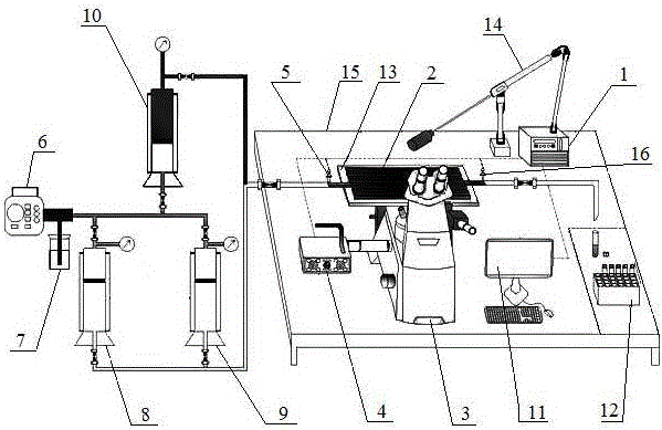 Apparatus and method for measuring elastic turbulence characteristics of viscoelastic polymer in porous medium