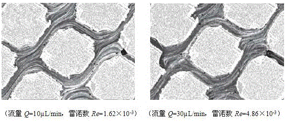 Apparatus and method for measuring elastic turbulence characteristics of viscoelastic polymer in porous medium