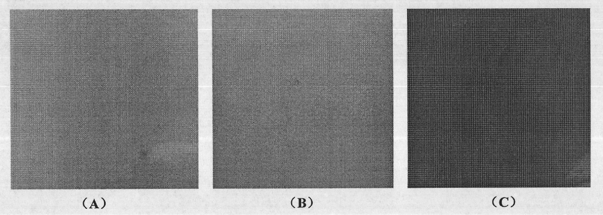 Preparation method of perfluorinated high-temperature proton-conductor composite membrane