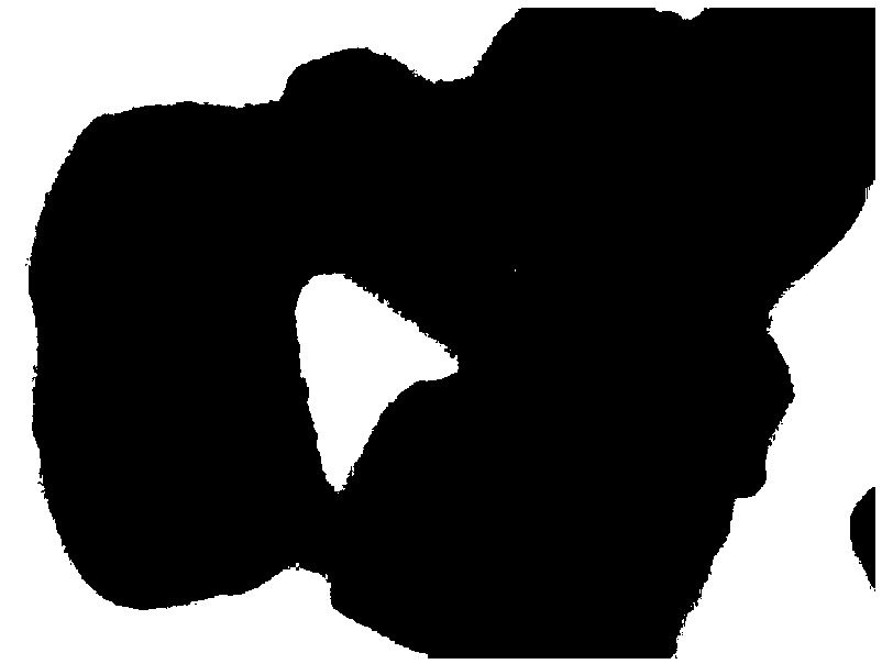 Catalyst for decomposing formaldehyde and preparation method of catalyst