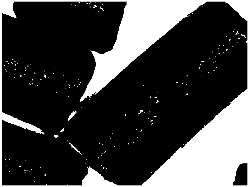 Catalyst for decomposing formaldehyde and preparation method of catalyst