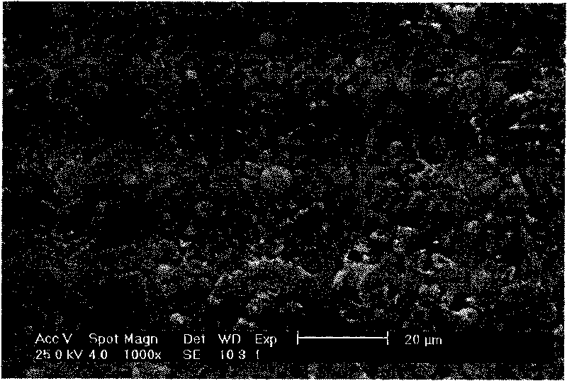 Magnesium base spherical quasicrystal master alloy and preparation method thereof