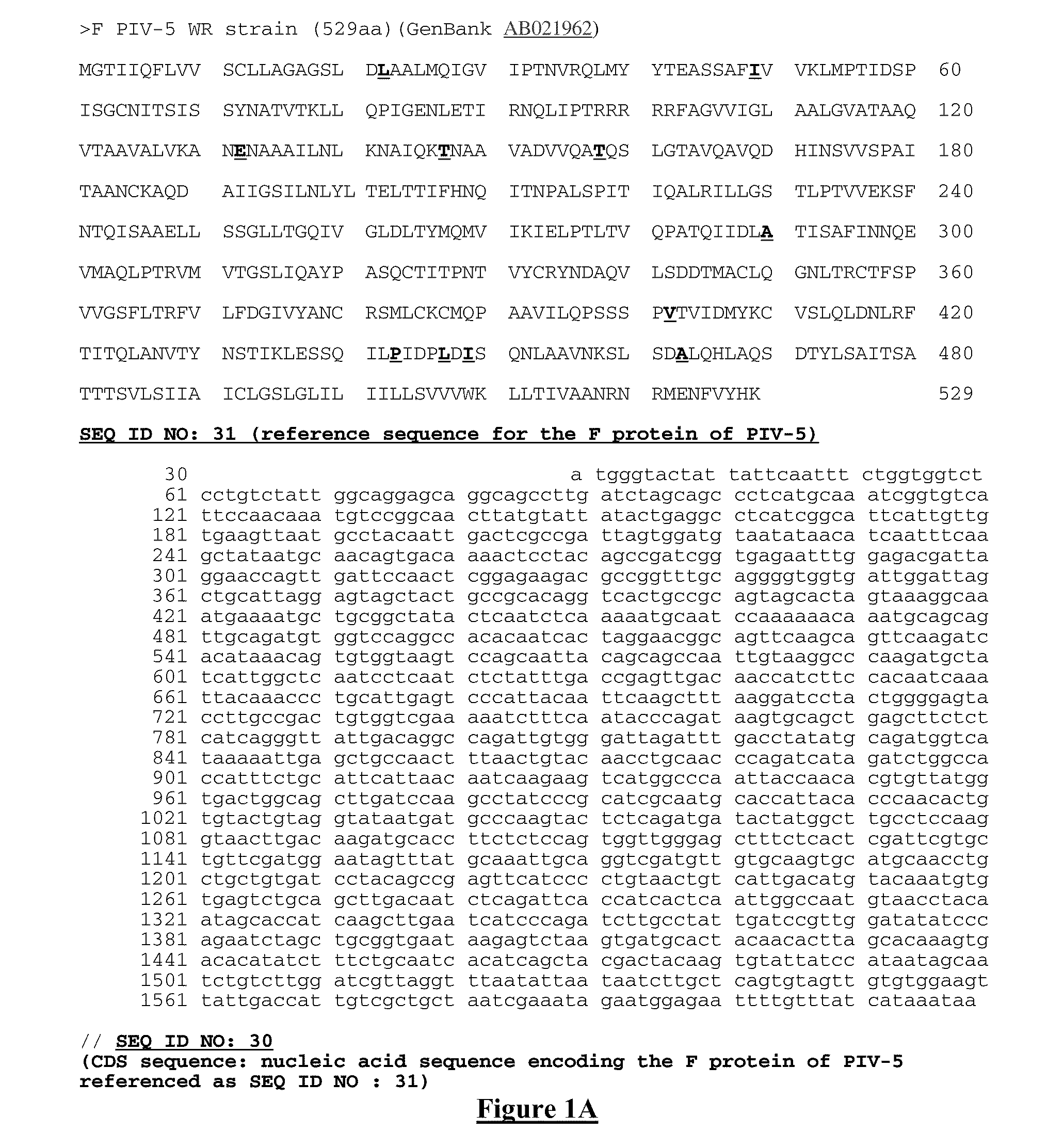 Mutant proteins of the f protein of piv-5 and piv-2