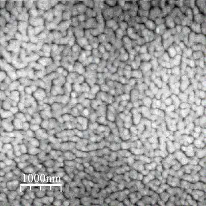 Method for electrochemical deposition of epitaxial CeO2 thick film on metal substrate