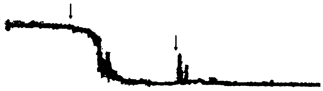 Application of Nobiletin in Preparation of Drugs for Treating Gastric Receptivity Disorder