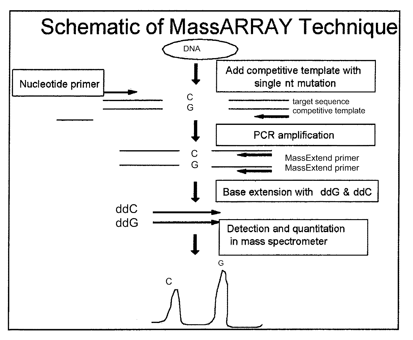 Systems, methods and compositions for detection of human papilloma virus in biological samples