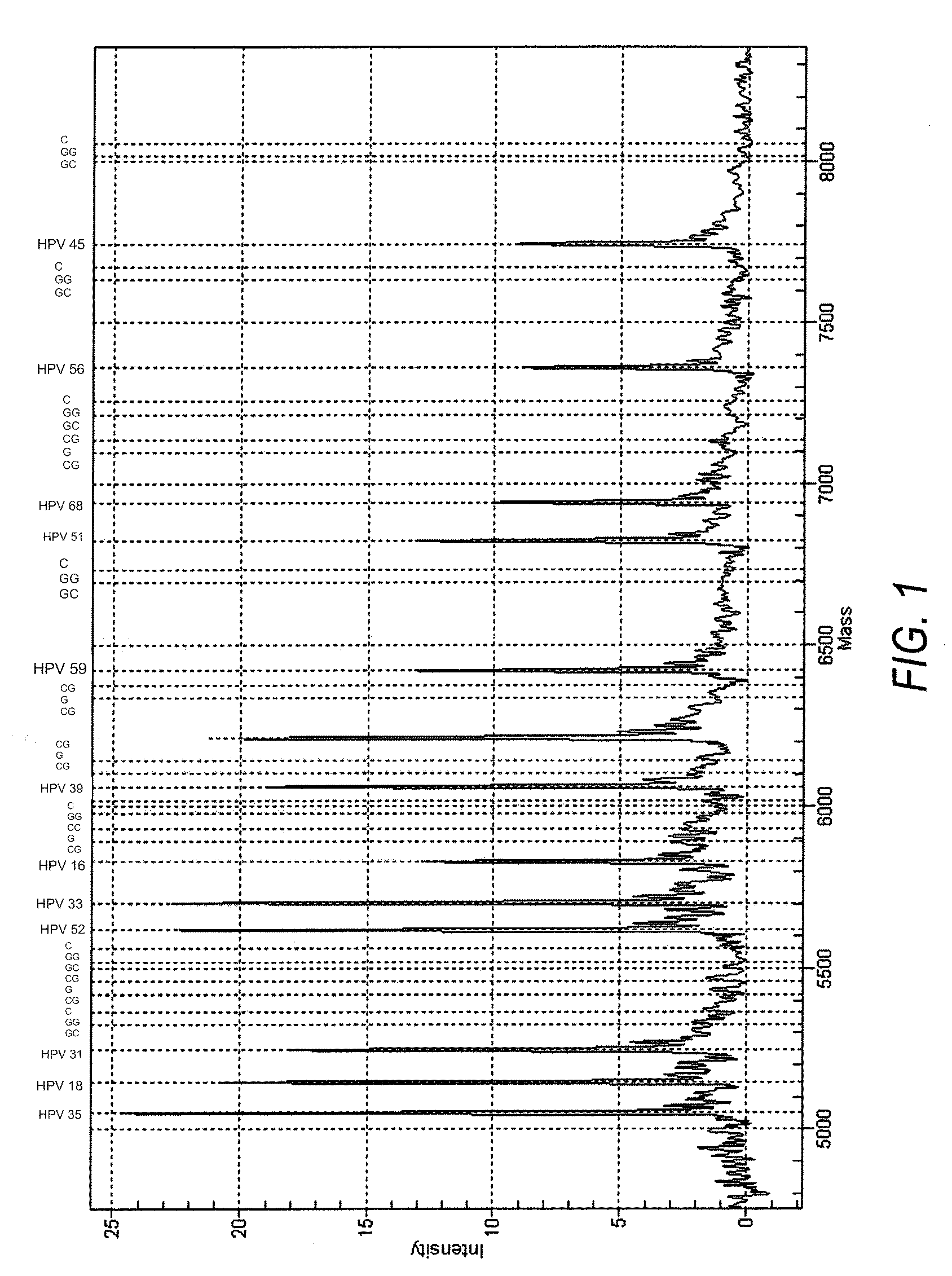 Systems, methods and compositions for detection of human papilloma virus in biological samples