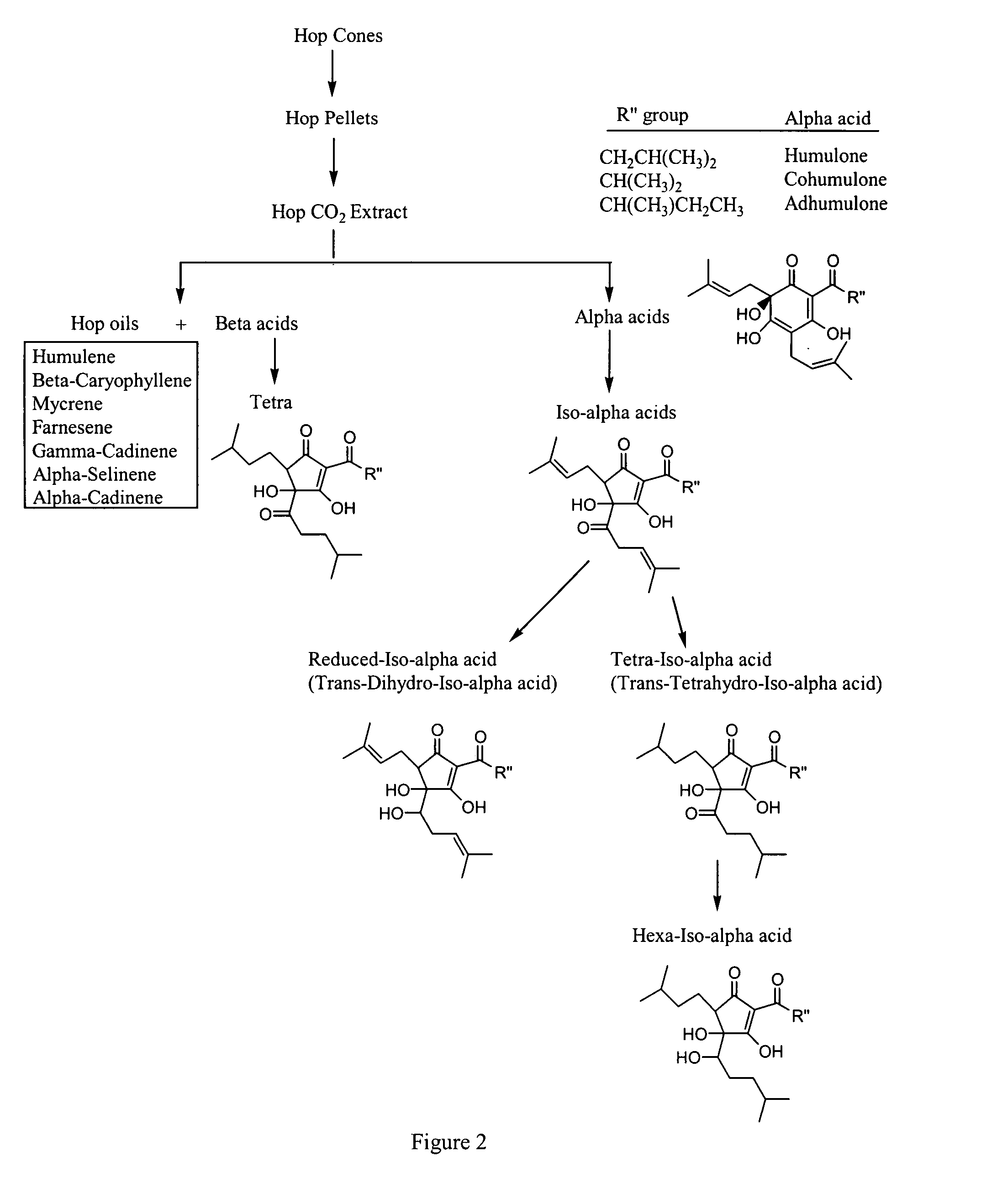 Compositions that treat or inhibit pathological conditions associated with inflammatory response