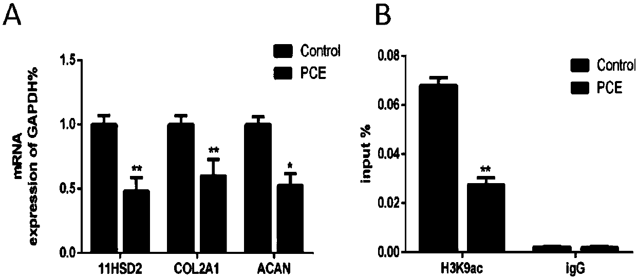 Application of 11beta-HSD2 and epigenetics as early markers of articular cartilage dysplasia and osteoarthritis susceptibility