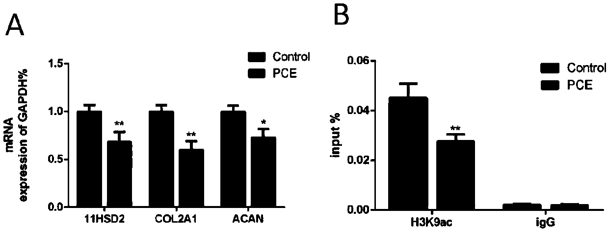 Application of 11beta-HSD2 and epigenetics as early markers of articular cartilage dysplasia and osteoarthritis susceptibility