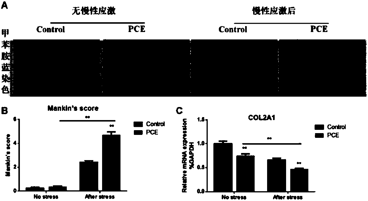 Application of 11beta-HSD2 and epigenetics as early markers of articular cartilage dysplasia and osteoarthritis susceptibility