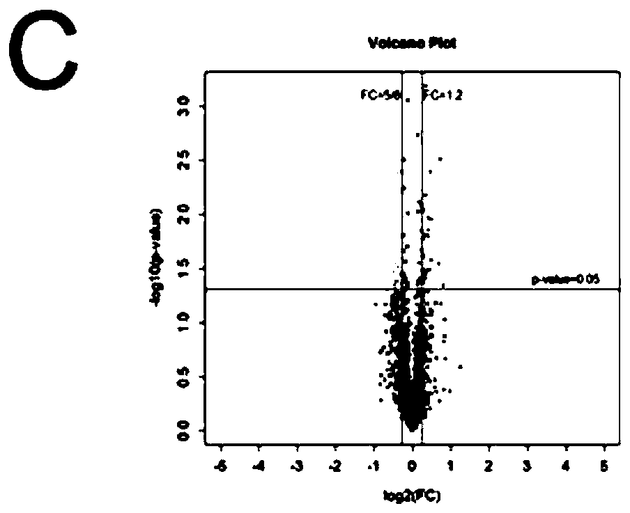 Diagnostic agent for diagnosis or auxiliary diagnosis of renal insufficiency or renal injury, kit and application