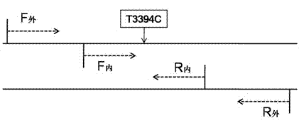 T3394C kit for detecting Leber disease